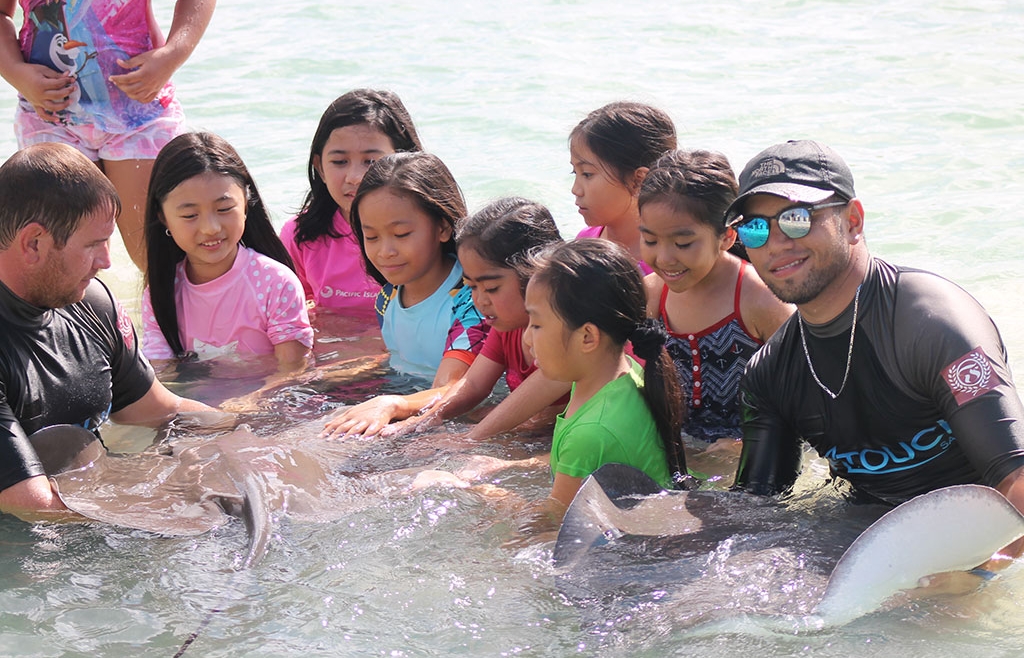 You will be able to learn, touch, handle, and swim with our stingrays and shark