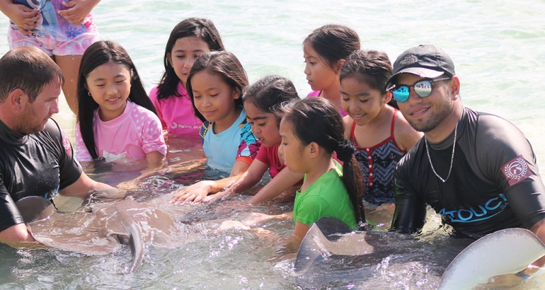 You will be able to learn, touch, handle, and swim with our stingrays and shark